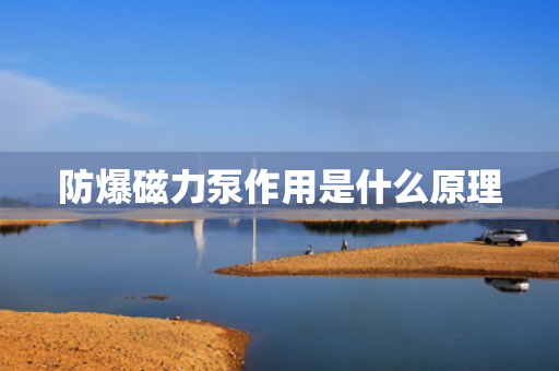 防爆磁力泵作用是什么原理