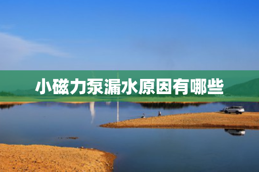 小磁力泵漏水原因有哪些