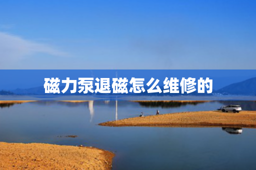 磁力泵退磁怎么维修的