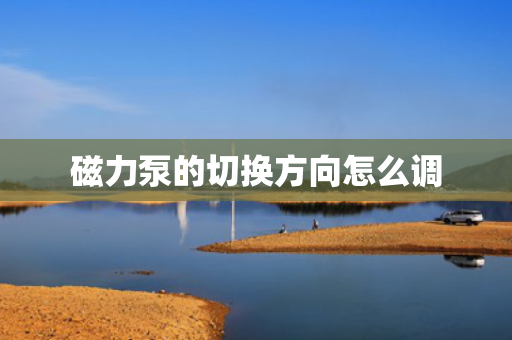 磁力泵的切换方向怎么调