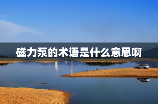 磁力泵的术语是什么意思啊