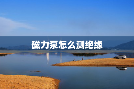 磁力泵怎么测绝缘