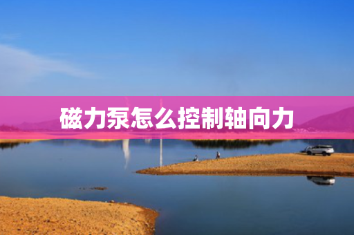 磁力泵怎么控制轴向力