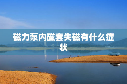 磁力泵内磁套失磁有什么症状