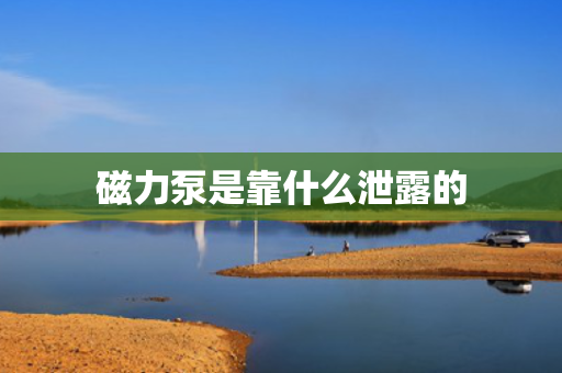 磁力泵是靠什么泄露的