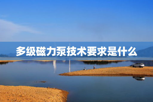 多级磁力泵技术要求是什么
