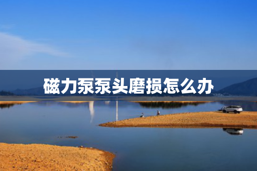 磁力泵泵头磨损怎么办