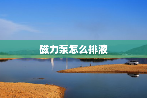 磁力泵怎么排液