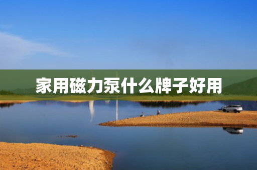 家用磁力泵什么牌子好用