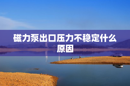 磁力泵出口压力不稳定什么原因