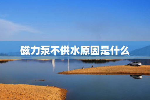 磁力泵不供水原因是什么