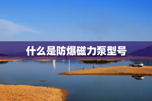 什么是防爆磁力泵型号