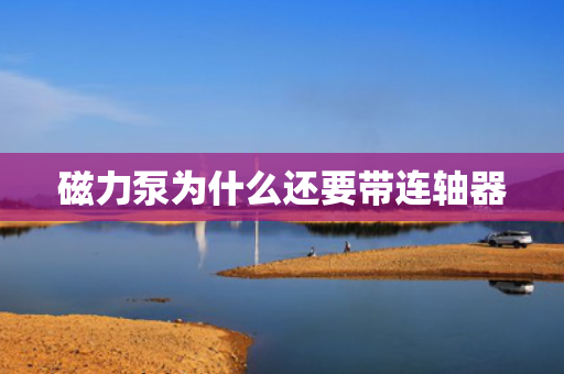 磁力泵为什么还要带连轴器