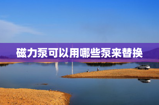 磁力泵可以用哪些泵来替换