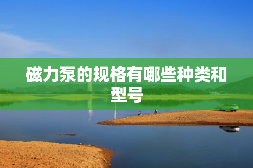 磁力泵的规格有哪些种类和型号