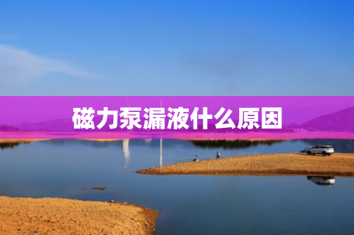 磁力泵漏液什么原因