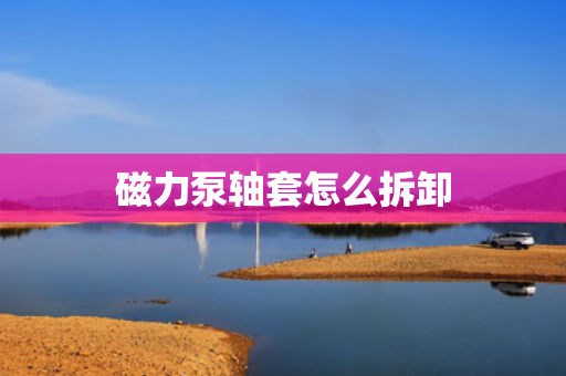 磁力泵轴套怎么拆卸