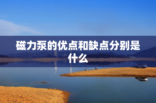 磁力泵的优点和缺点分别是什么