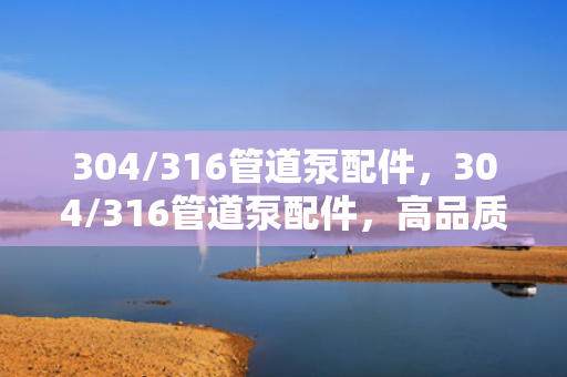 304/316管道泵配件，304/316管道泵配件，高品质选择，保障流体输送顺畅