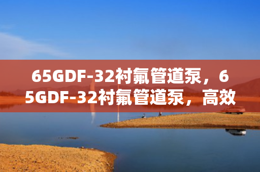 65GDF-32衬氟管道泵，65GDF-32衬氟管道泵，高效、稳定的流体输送解决方案