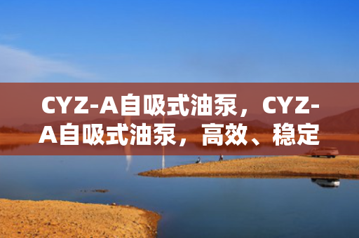 CYZ-A自吸式油泵，CYZ-A自吸式油泵，高效、稳定的自吸泵解决方案