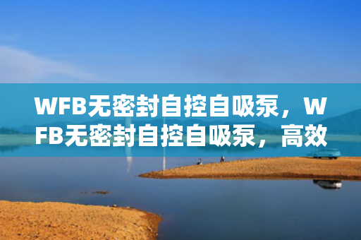 WFB无密封自控自吸泵，WFB无密封自控自吸泵，高效、稳定、无泄漏的理想选择