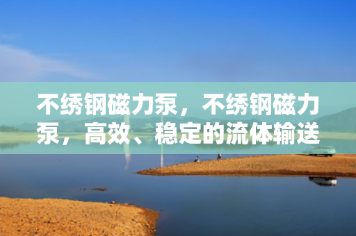 不绣钢磁力泵，不绣钢磁力泵，高效、稳定的流体输送解决方案