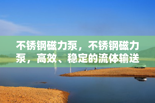 不锈钢磁力泵，不锈钢磁力泵，高效、稳定的流体输送解决方案