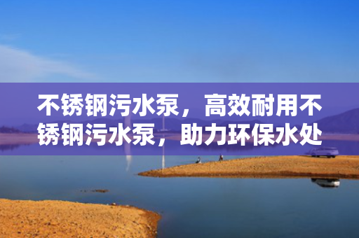 不锈钢污水泵，高效耐用不锈钢污水泵，助力环保水处理