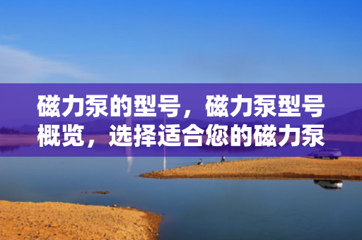 磁力泵的型号，磁力泵型号概览，选择适合您的磁力泵型号