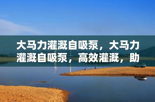 大马力灌溉自吸泵，大马力灌溉自吸泵，高效灌溉，助力农业生产