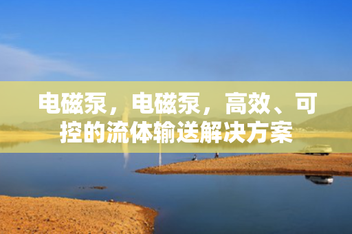 电磁泵，电磁泵，高效、可控的流体输送解决方案