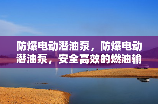 防爆电动潜油泵，防爆电动潜油泵，安全高效的燃油输送解决方案