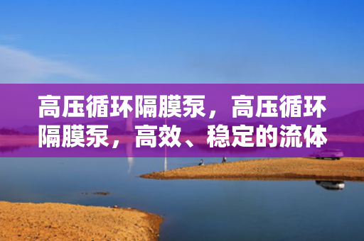高压循环隔膜泵，高压循环隔膜泵，高效、稳定的流体输送解决方案