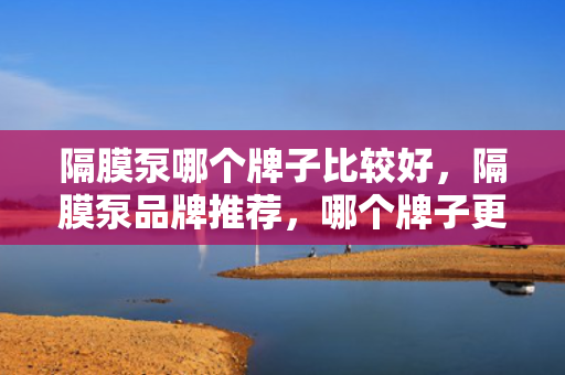 隔膜泵哪个牌子比较好，隔膜泵品牌推荐，哪个牌子更胜一筹？