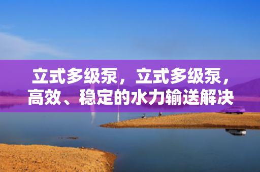 立式多级泵，立式多级泵，高效、稳定的水力输送解决方案