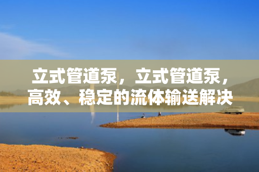 立式管道泵，立式管道泵，高效、稳定的流体输送解决方案
