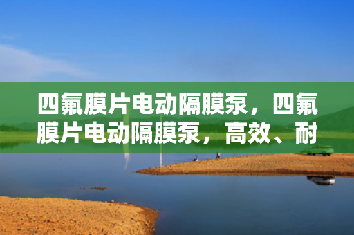 四氟膜片电动隔膜泵，四氟膜片电动隔膜泵，高效、耐腐蚀的流体输送解决方案