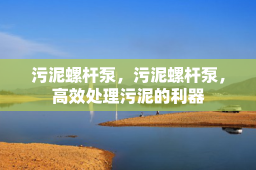 污泥螺杆泵，污泥螺杆泵，高效处理污泥的利器