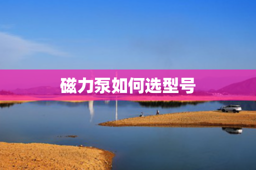 磁力泵如何选型号