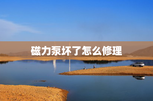 磁力泵坏了怎么修理