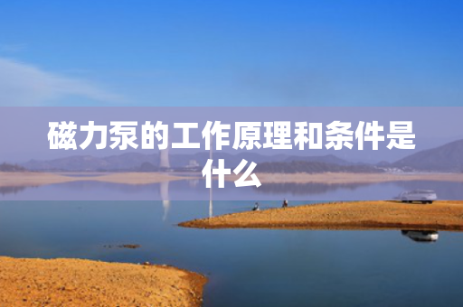 磁力泵的工作原理和条件是什么