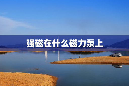 强磁在什么磁力泵上