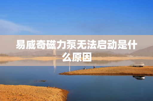 易威奇磁力泵无法启动是什么原因