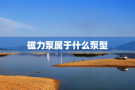 磁力泵属于什么泵型
