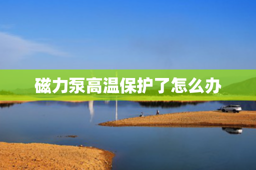磁力泵高温?；ち嗽趺窗? title=