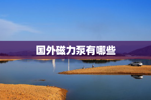 国外磁力泵有哪些
