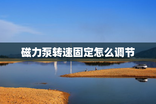 磁力泵转速固定怎么调节