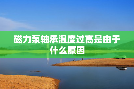 磁力泵轴承温度过高是由于什么原因