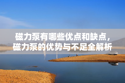 磁力泵有哪些优点和缺点，磁力泵的优势与不足全解析